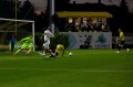 XT5D3995.jpg